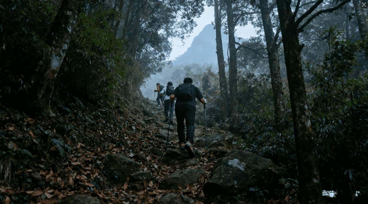 快速提升网络速度的神器：QuickQ西柚加速器免费体验指南